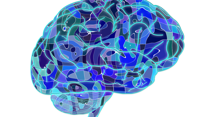 brain-951874_1280-680×380-1